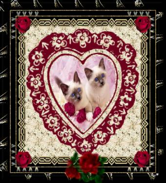 Bonjour  tout le monde